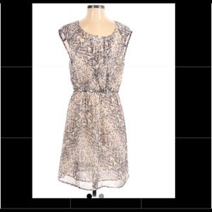 Daniel Rainn casual printed Dress | S